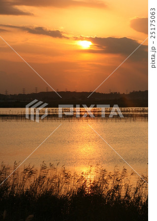 真珠養殖場と夕日 25175063