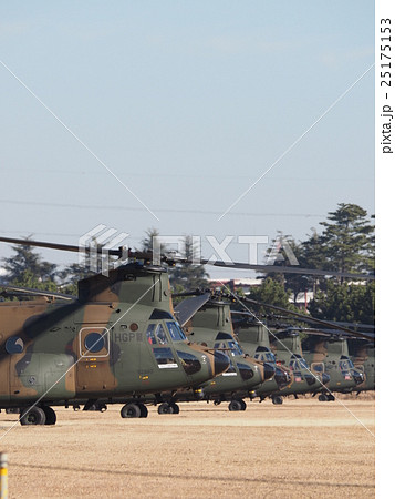 千葉県船橋市の習志野駐屯地で新春に行われる降下訓練始めを待つたくさんの大型輸送用ヘリコプター 25175153