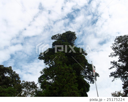 石上神宮 石上神宮 25175224