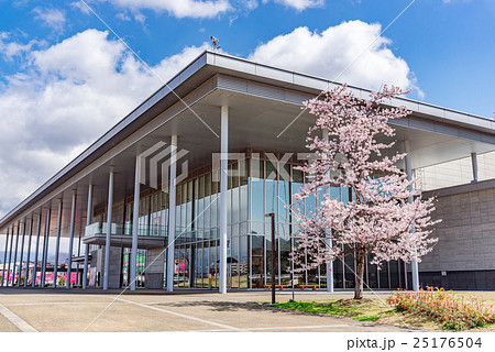 伝国の杜と桜 伝国の杜と桜 25176504
