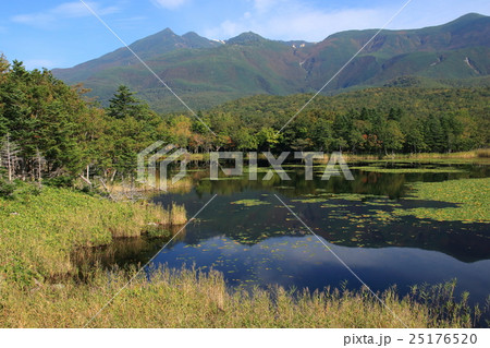 知床五湖Ⅲ 25176520