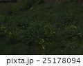 蛍 25178094