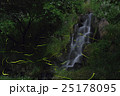 蛍 25178095