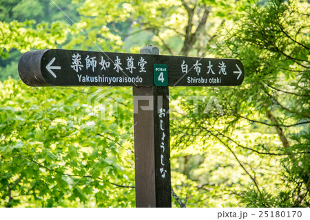 白布大滝案内 25180170