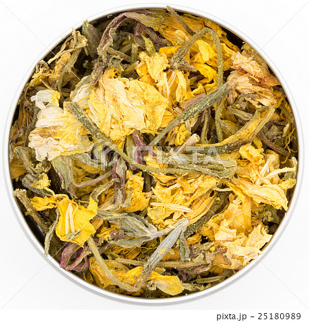 紅茶用マツヨイグサ: Evening Primrose 紅茶用マツヨイグサ: Evening Primrose 25180989