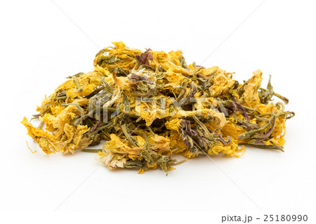 紅茶用マツヨイグサ: Evening Primrose 25180990