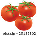 トマト 25182302