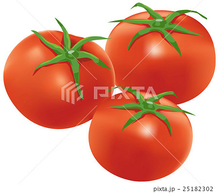 トマト 25182302