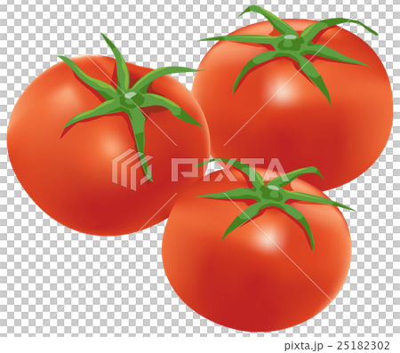 トマト 25182302