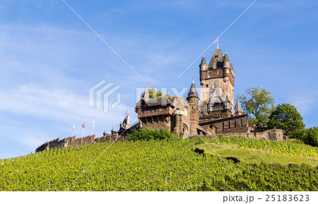 Reichsburg castle in Cochem on the Mosel Reichsburg castle in Cochem on the Mosel 25183623