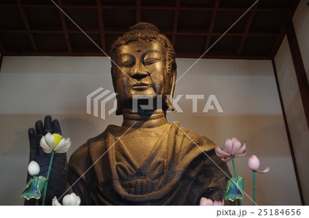 飛鳥大仏 25184656