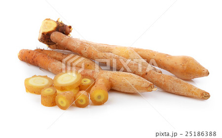 Fingerroot, Kaempfer, Boesenbergia  25186388