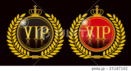 vipエンブレム　メダル 25187102