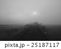 霧の朝日 25187117