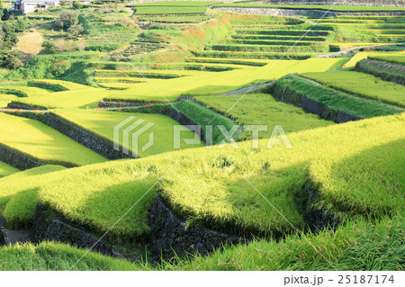 長崎 鬼木の棚田 長崎 鬼木の棚田 25187174