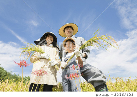 米農家家族 米農家家族 25187253