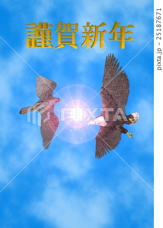 年賀状(オジロワシ&ハヤブサ) 25187671