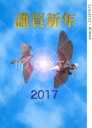 年賀状(オジロワシ&ハヤブサ) 25187673