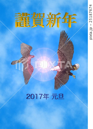 年賀状(オジロワシ&ハヤブサ) 25187674