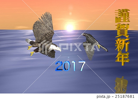 年賀状(オジロワシ&ハヤブサ) 年賀状(オジロワシ&ハヤブサ) 25187681