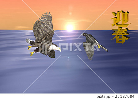 年賀状(オジロワシ&ハヤブサ) 25187684