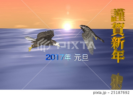 年賀状(オジロワシ&ハヤブサ) 25187692