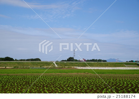 圏央道 境古河～つくば中央間建設中 筑波山を望む境町付近 2016年9月末　 25188174