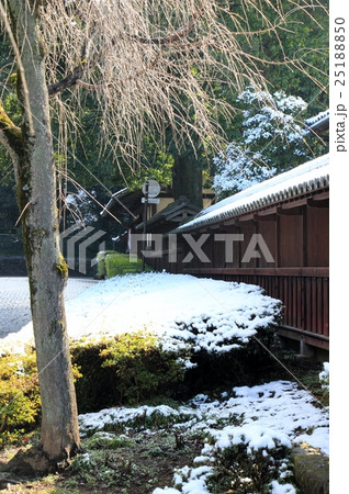 雪景色 雪景色 25188850