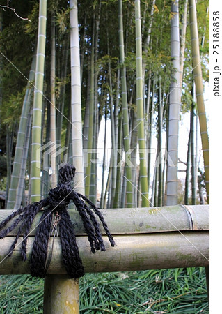 垣根結び 25188858