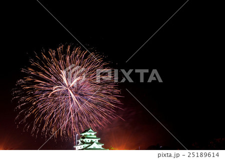 花火 25189614