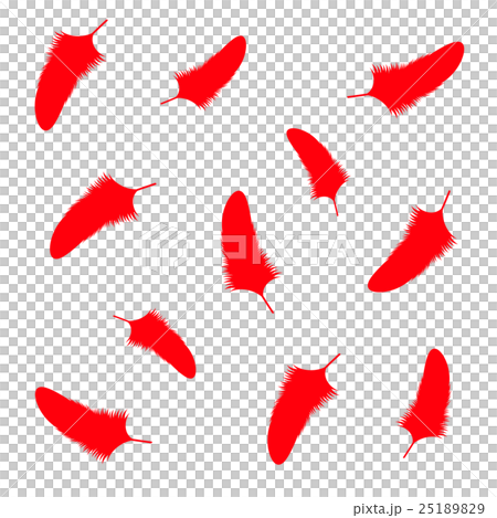 赤い羽根 25189829