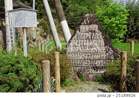 一石百観音石像 25189926