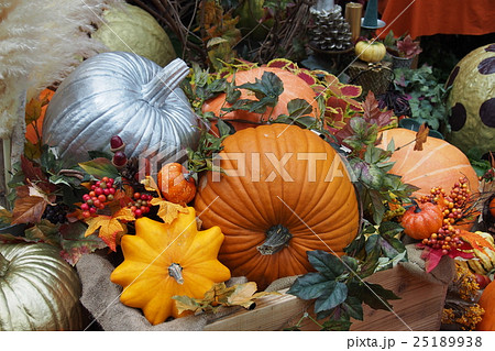 ハロウィンの色とりどりのカボチャ ハロウィンの色とりどりのカボチャ 25189938
