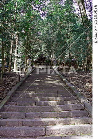 武田八幡神社 25190036