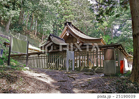 武田八幡神社 25190039
