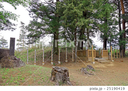 新府城跡 新府城跡 25190419