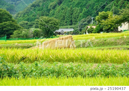 秋の里山 25190437