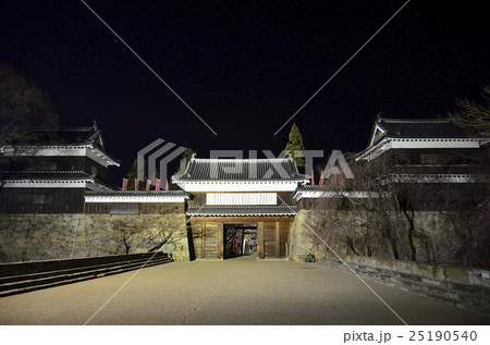 日本100名城　夜の上田城 25190540