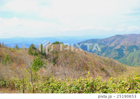 長野県大川入山登山道からの風景 長野県大川入山登山道からの風景 25190653
