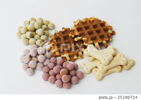 ドックフード ドックフード 25190724