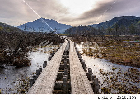 雪解けの湿原 25192108