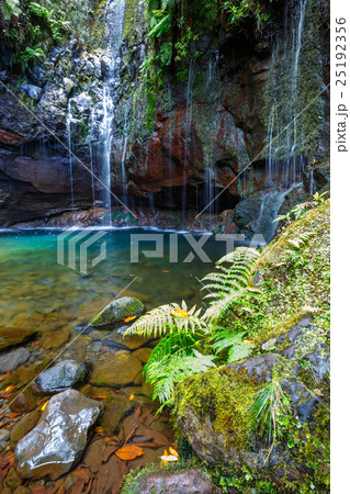 Waterfall Levada das 25 fontes, Madeira Island 25192356