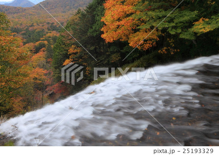 湯滝滝口の紅葉 25193329