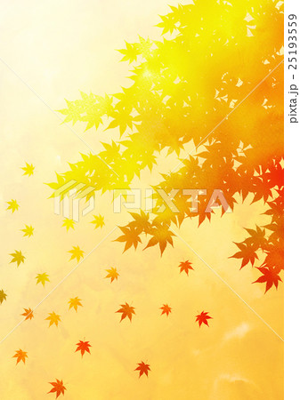 紅葉aたて(オレンジ) 紅葉aたて(オレンジ) 25193559
