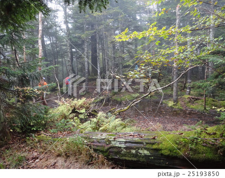 帝釈山と田代山の中腹 帝釈山と田代山の中腹 25193850