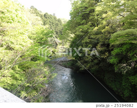 山中温泉大聖寺川 山中温泉大聖寺川 25194082