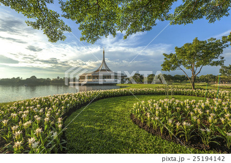 Suanluang RAMA IX Public Park and botanical garden Suanluang RAMA IX Public Park and botanical garden 25194142
