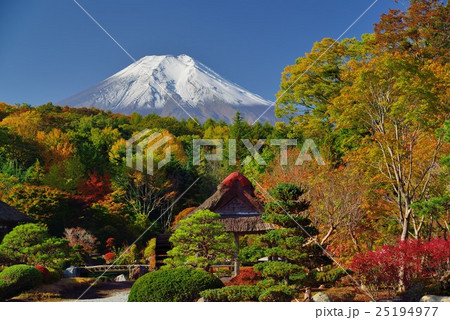 秋の忍野村と富士山 25194977