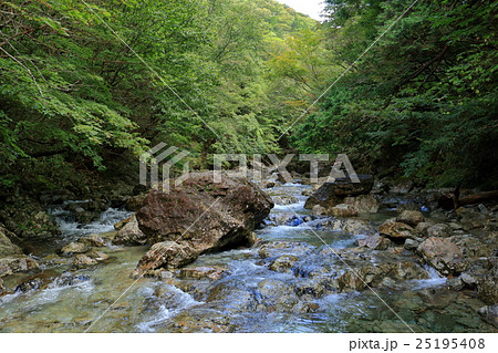 大台ケ原 東ノ川 大台ケ原 東ノ川 25195408