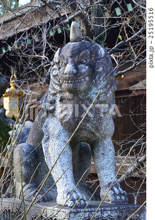 唐獅子(北野天満宮/京都市上京区) 唐獅子(北野天満宮/京都市上京区) 25195516